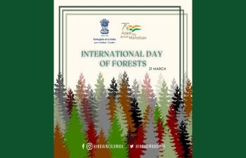 International Day of Forests 2022